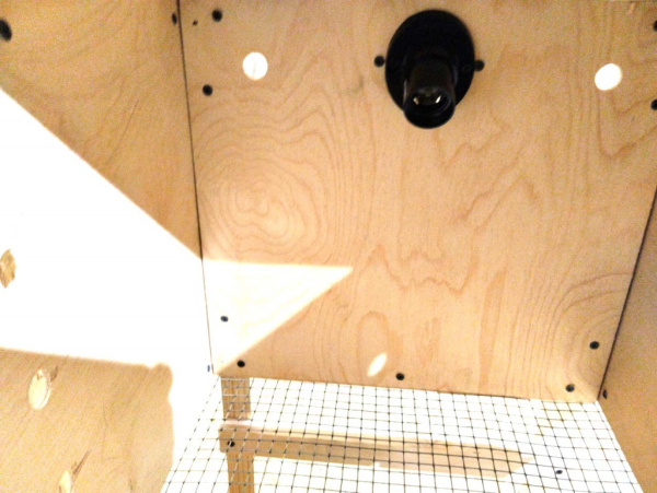 фото брудера Ящиком-эконом