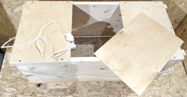 фото брудера Ящиком-эконом