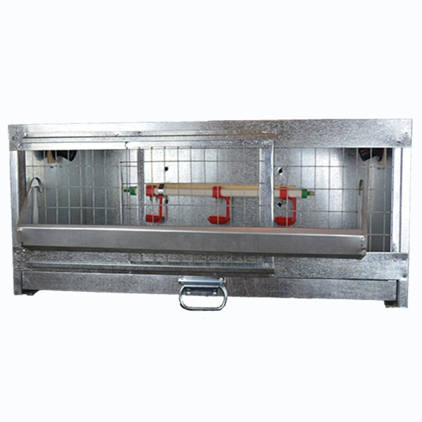 Клетка Б/Я "Идеальная-премиум" для цыплят