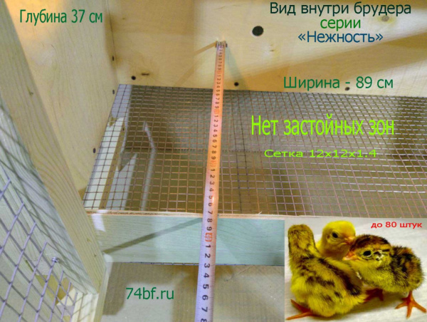 Брудер клетка "Нежность-эконом" для перепелов