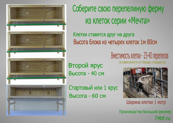 Клетка "Мечта-эконом" для перепелов