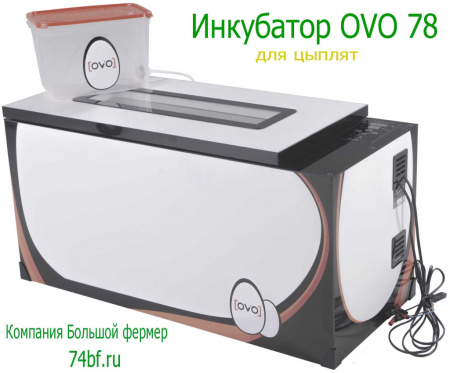 Инкубатор OVO 78