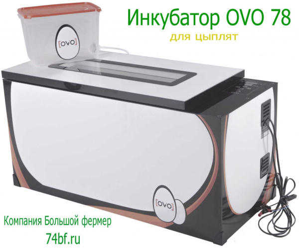 Инкубатор OVO 78 Инкубатор OVO 78