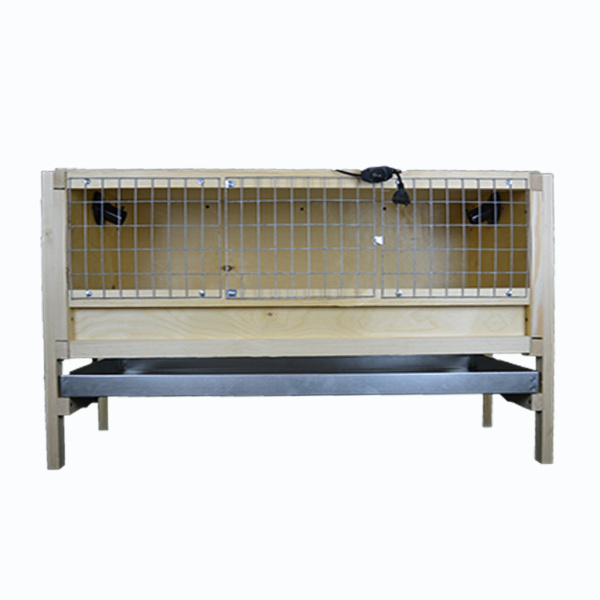 Клетка "Б/Я-Рост-премиум" для цыплят