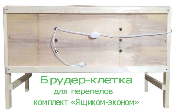 (Брудер клетка Ящик-эконом)