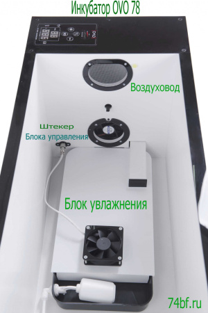 Инкубатор OVO 78 для цыплят