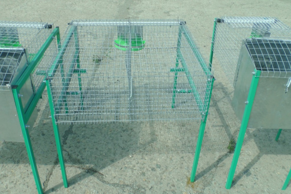 Клетка "КО2С-кроль-стандарт" для кролиководства Клетка "КО2С-кроль-стандарт" для кролиководства