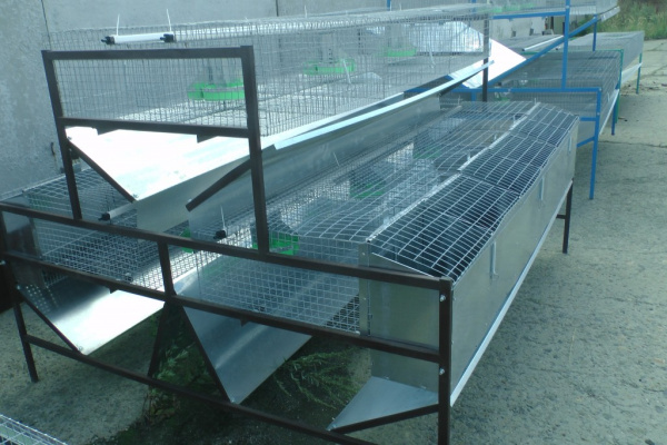 Клетка для кролиководства КМ-2Ф Клетка для кролиководства КМ-2Ф